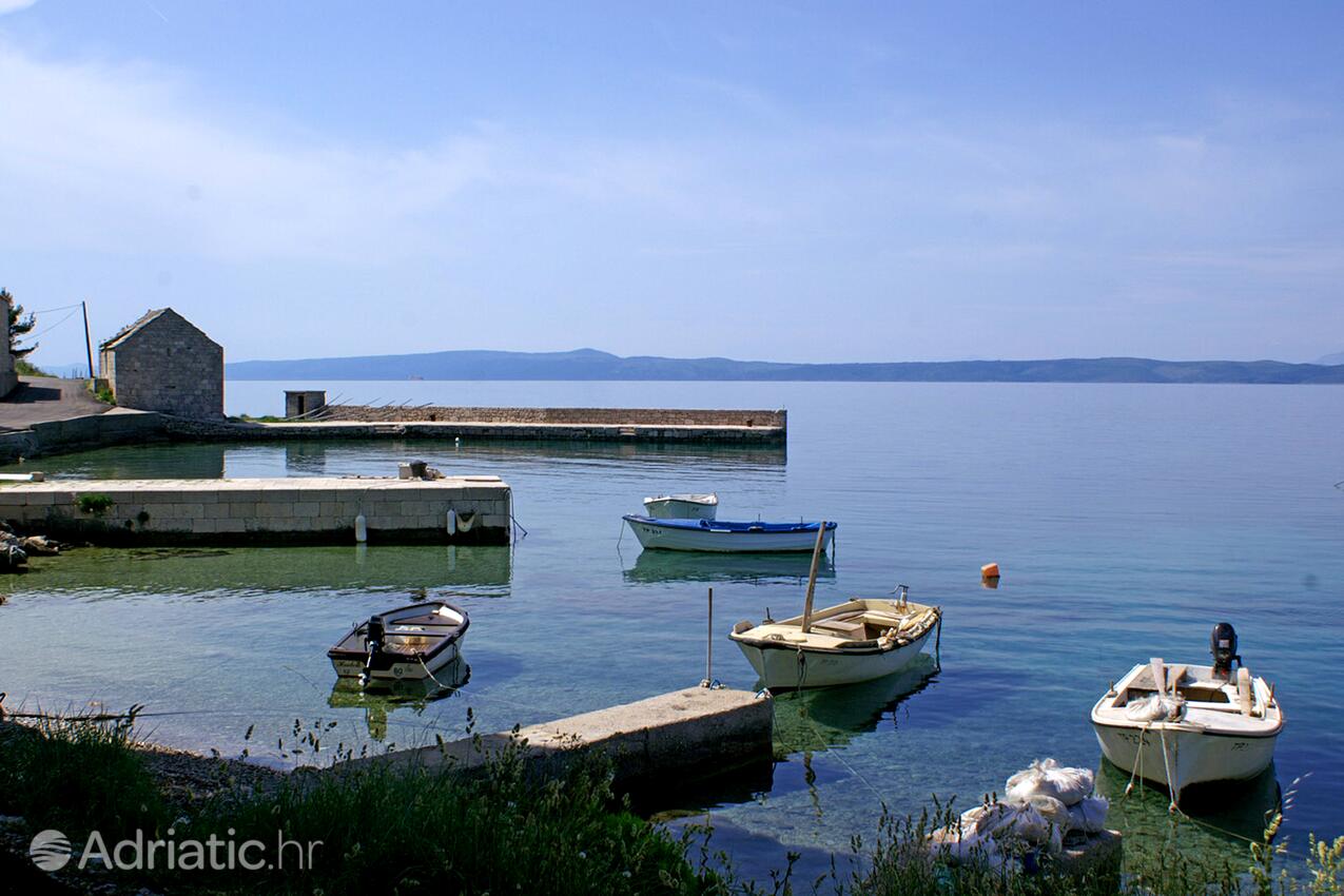 Duba Pelješka pe riviera Pelješac (Južna Dalmacija)