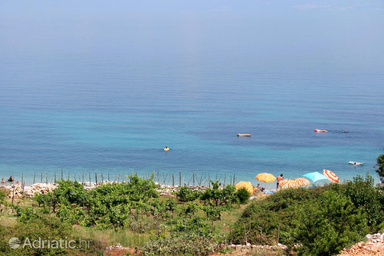 Stara en la isla Hvar (Srednja Dalmacija)