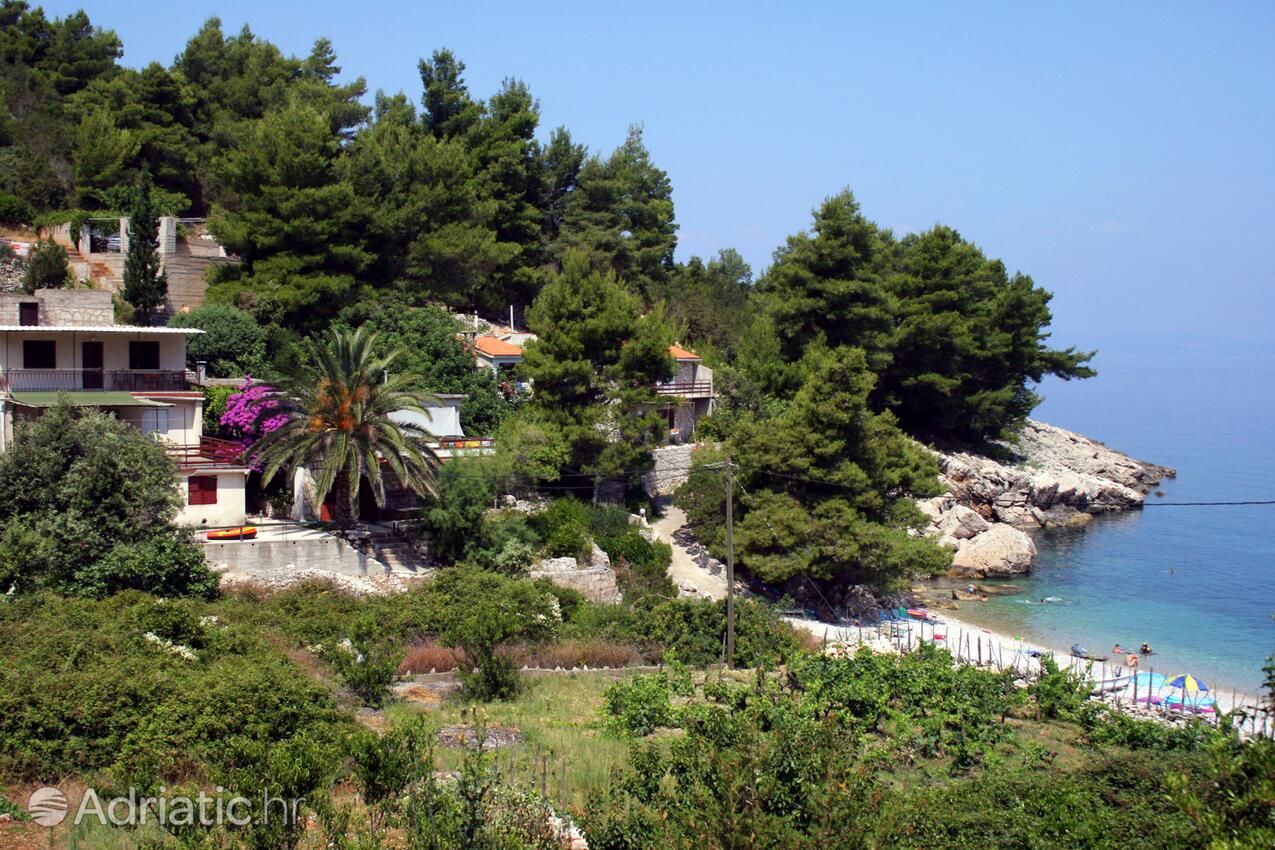 Stara en la isla Hvar (Srednja Dalmacija)