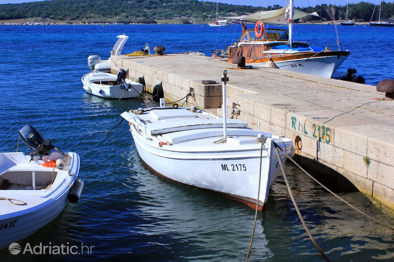 Ilovik sull'isola Lošinj (Kvarner)