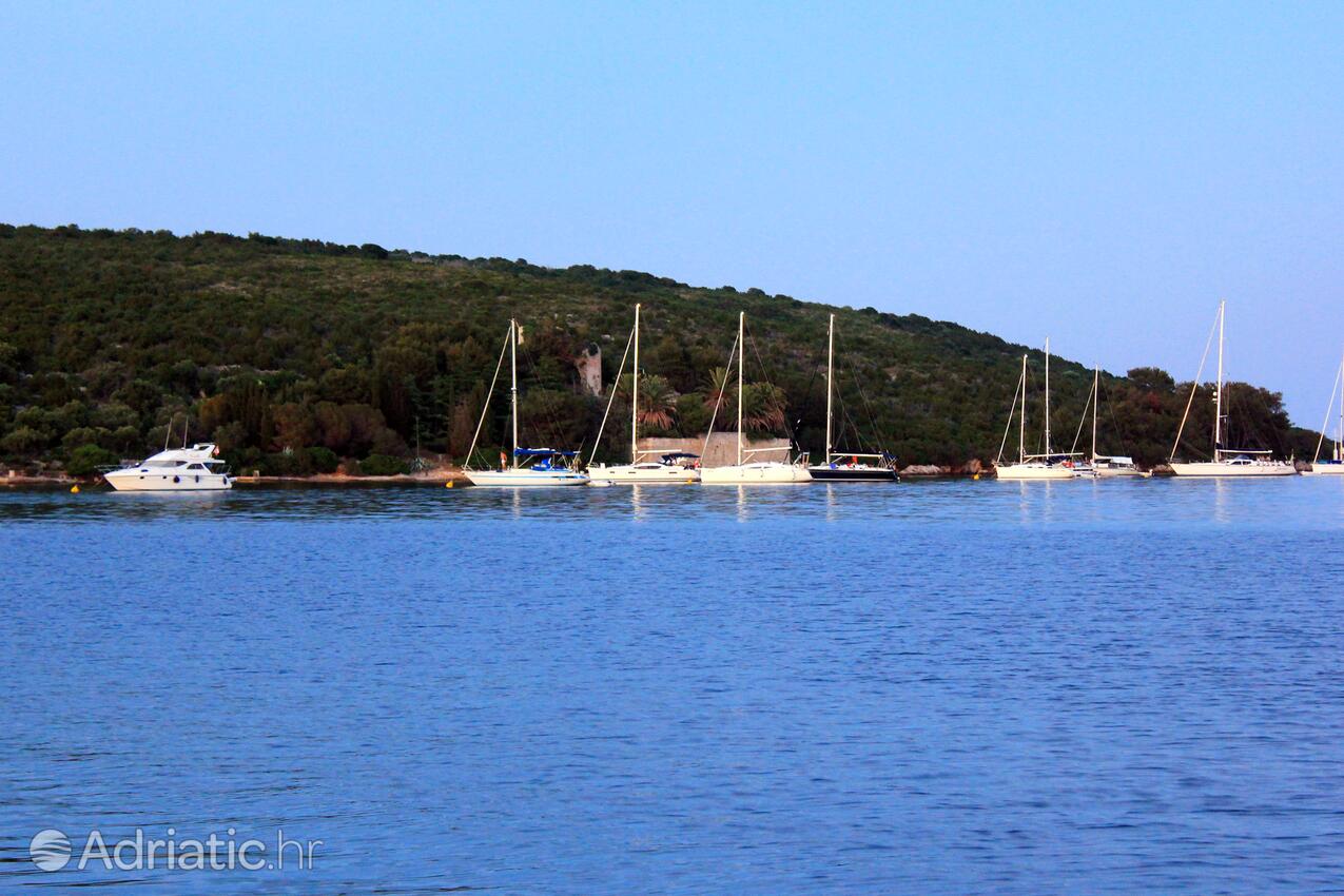 Ilovik na ostrove Lošinj (Kvarner)