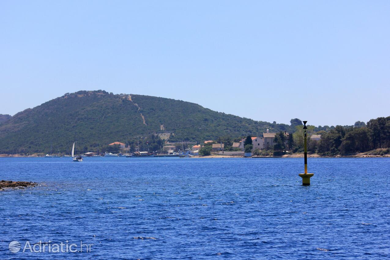 Ilovik sull'isola Lošinj (Kvarner)