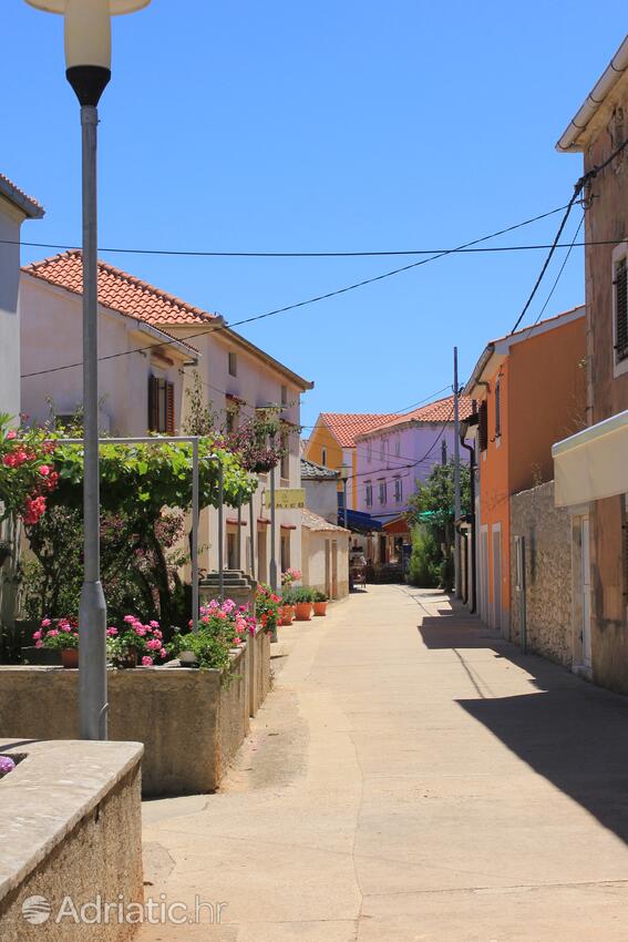 Ilovik sull'isola Lošinj (Kvarner)