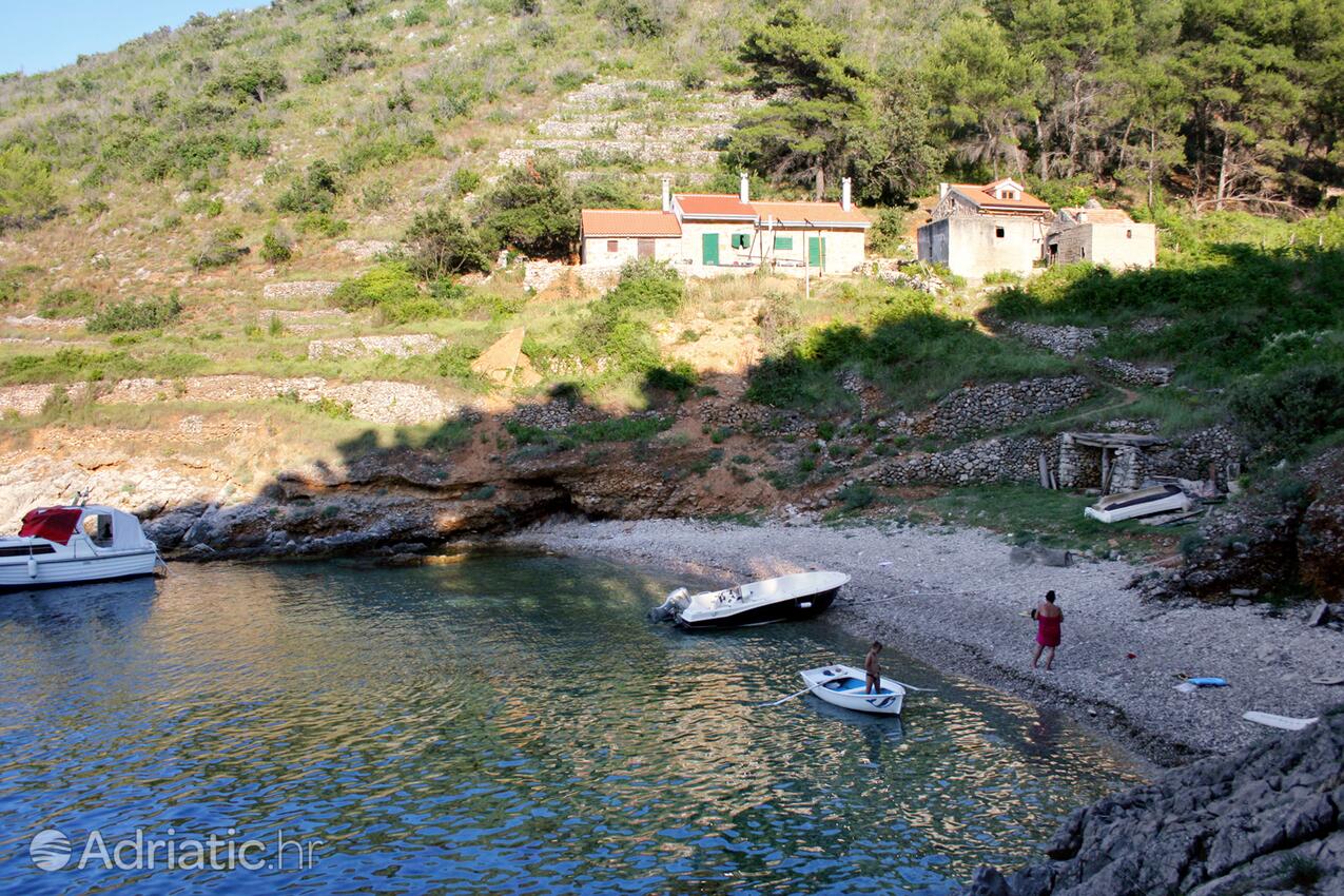 Divja on the island Hvar (Srednja Dalmacija)
