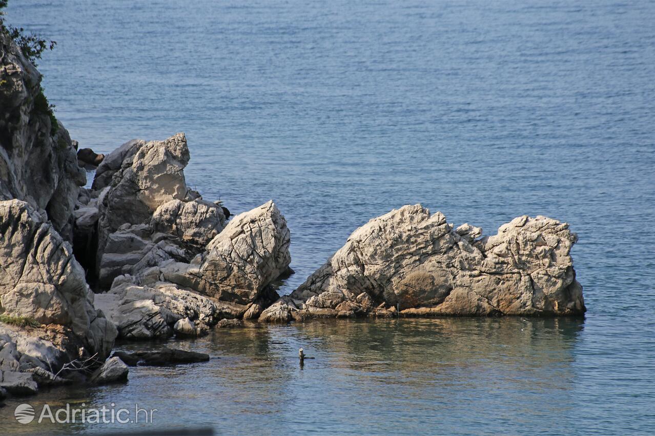 Velika Prapratna i Rivieran Pelješac (Južna Dalmacija)