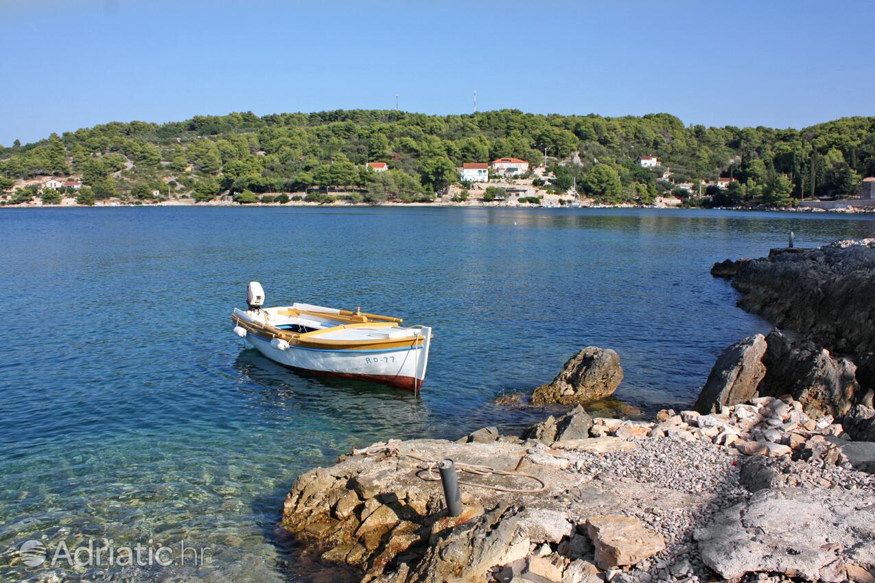 Rogač på otoku Šolta (Srednja Dalmacija)