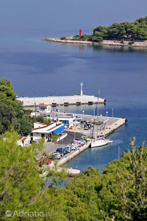 Rogač på otoku Šolta (Srednja Dalmacija)