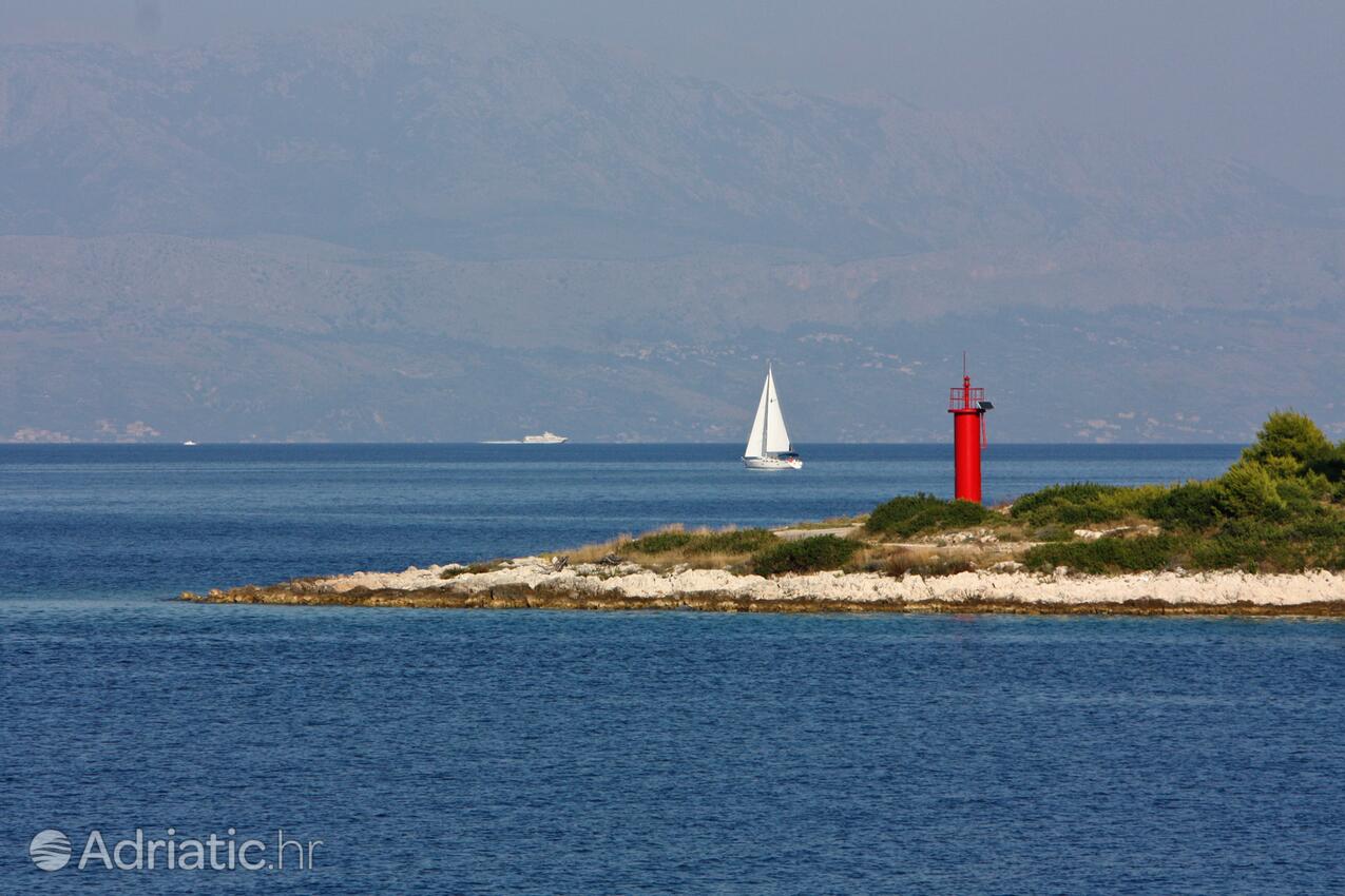 Rogač na ostrově Šolta (Srednja Dalmacija)