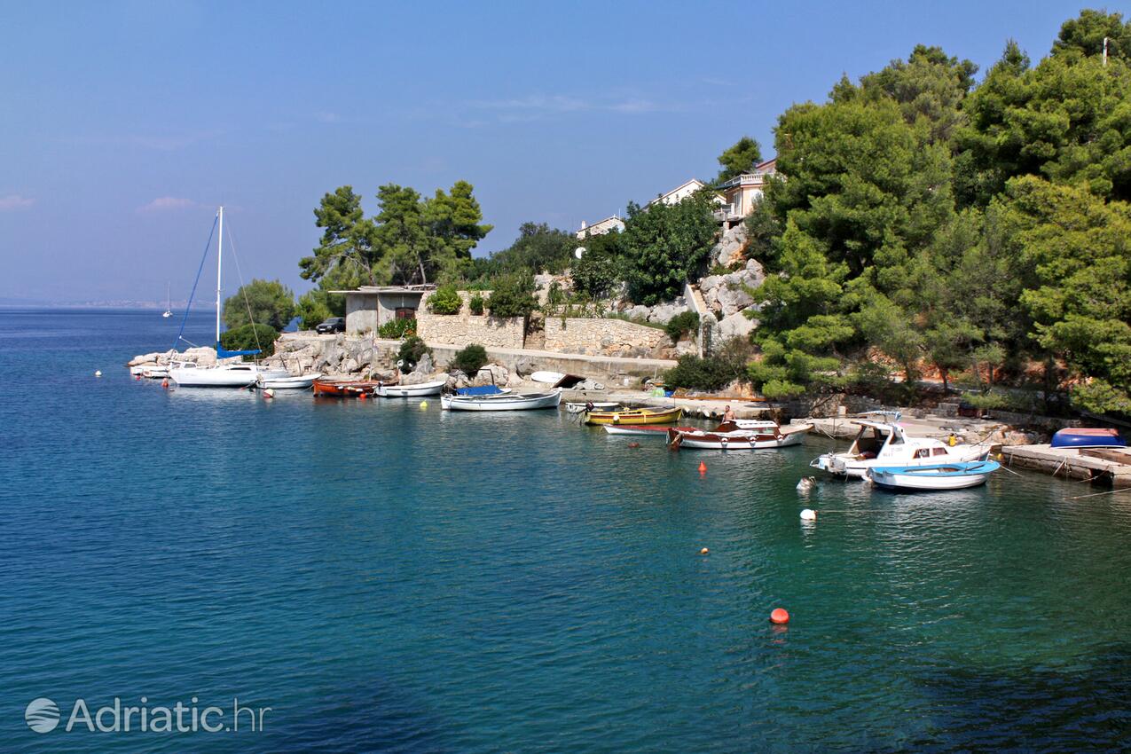 Rogač na ostrově Šolta (Srednja Dalmacija)