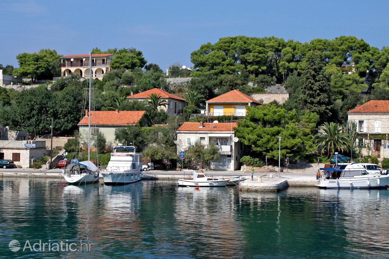 Rogač på otoku Šolta (Srednja Dalmacija)