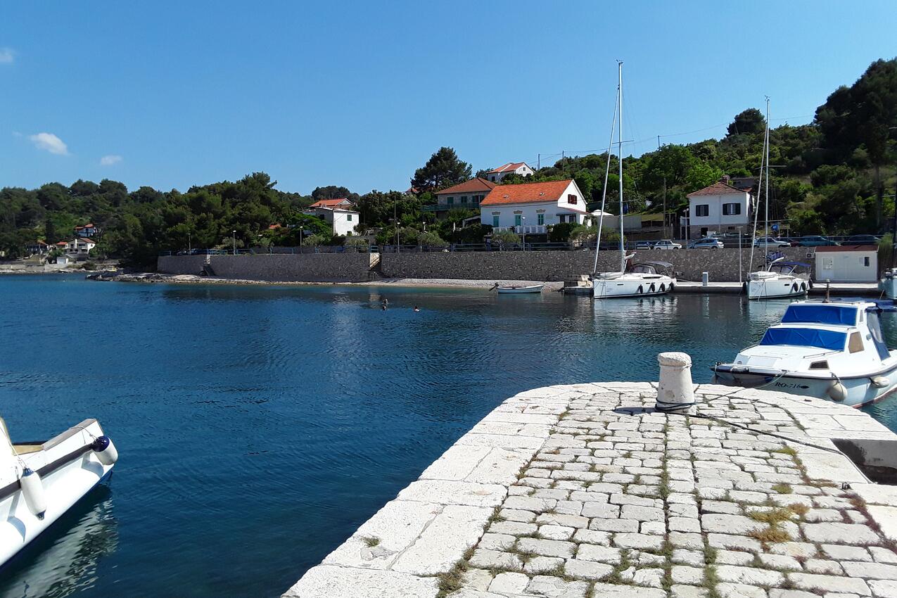 Rogač på otoku Šolta (Srednja Dalmacija)