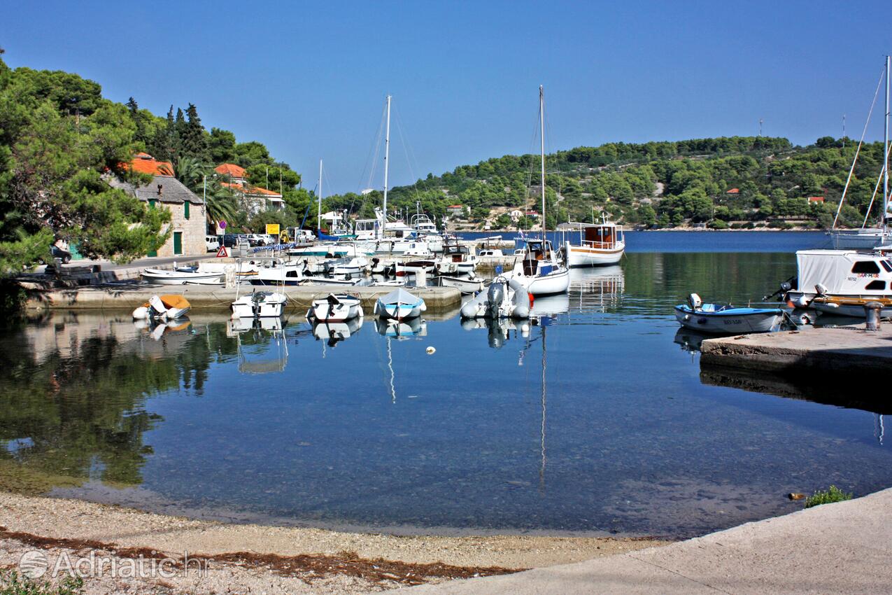 Rogač på otoku Šolta (Srednja Dalmacija)