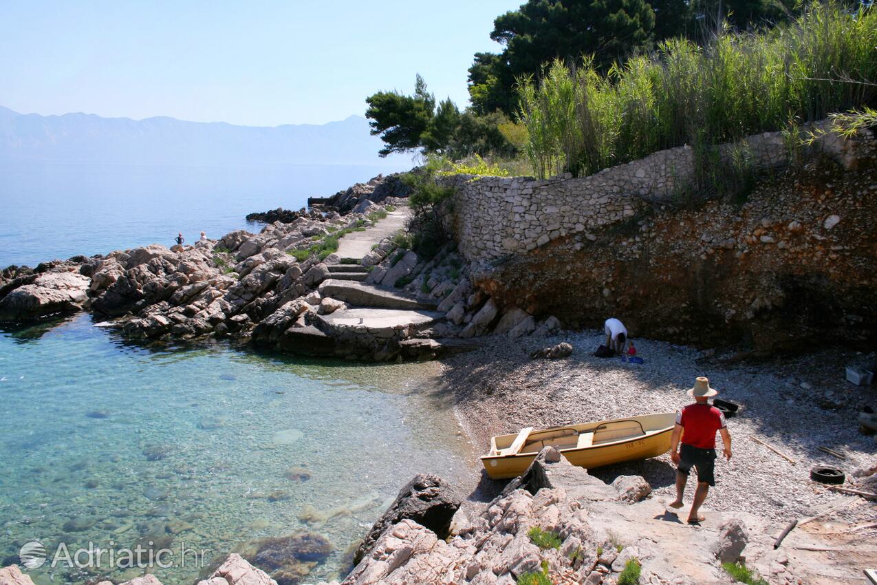 Solotiša на острове Hvar (Srednja Dalmacija)