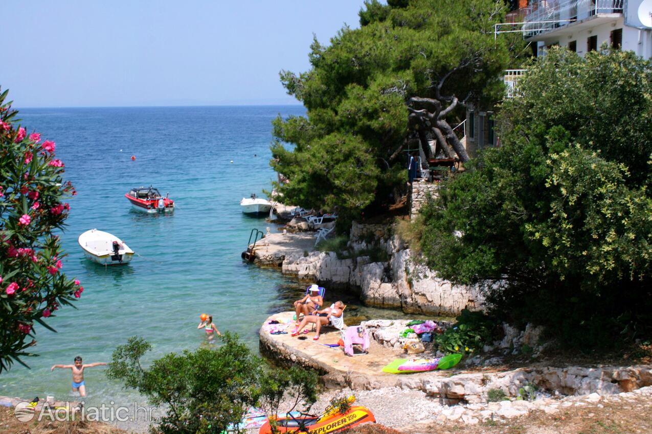 Jagodna (Brusje) en la isla Hvar (Srednja Dalmacija)