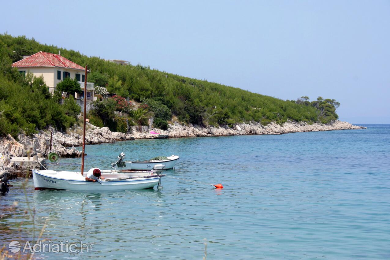 Jagodna (Brusje) en la isla Hvar (Srednja Dalmacija)