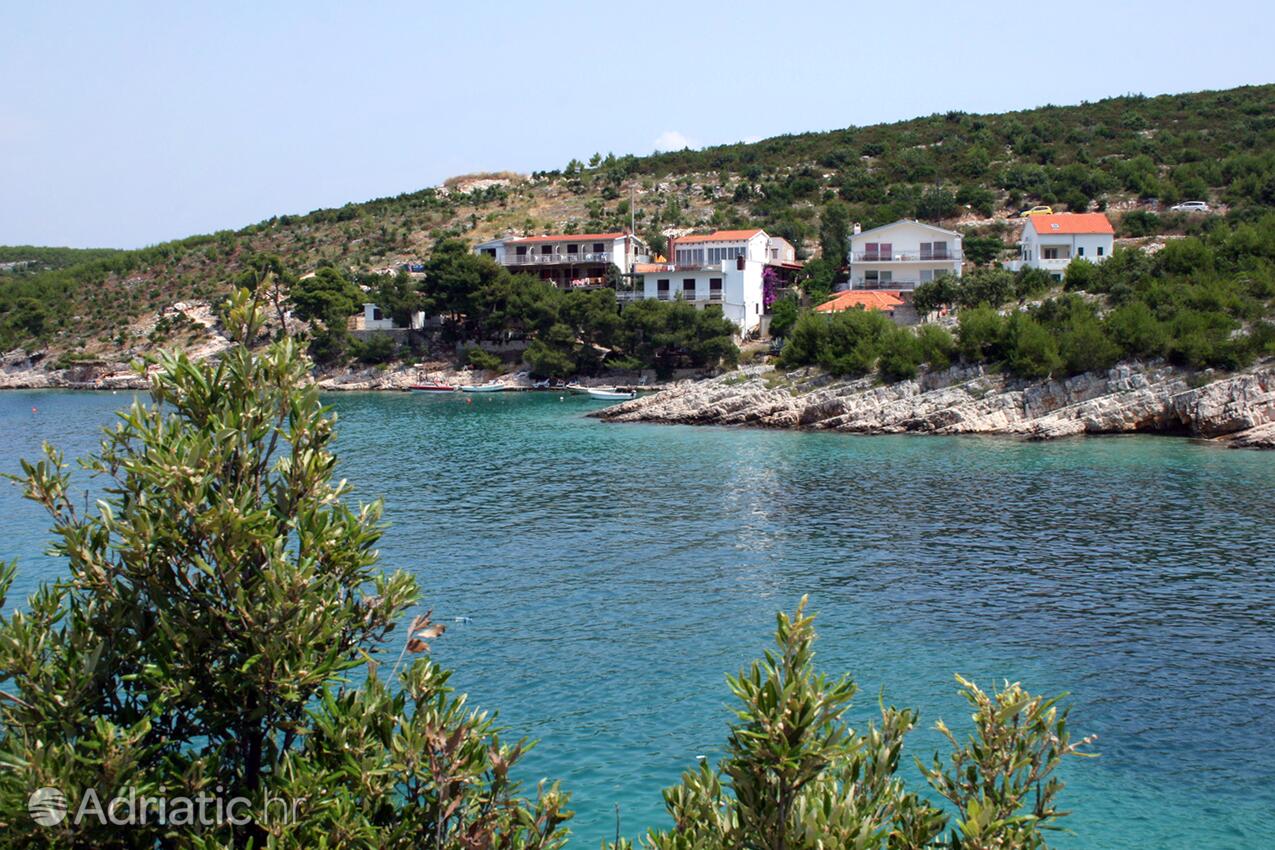 Jagodna (Brusje) na wyspie Hvar (Srednja Dalmacija)