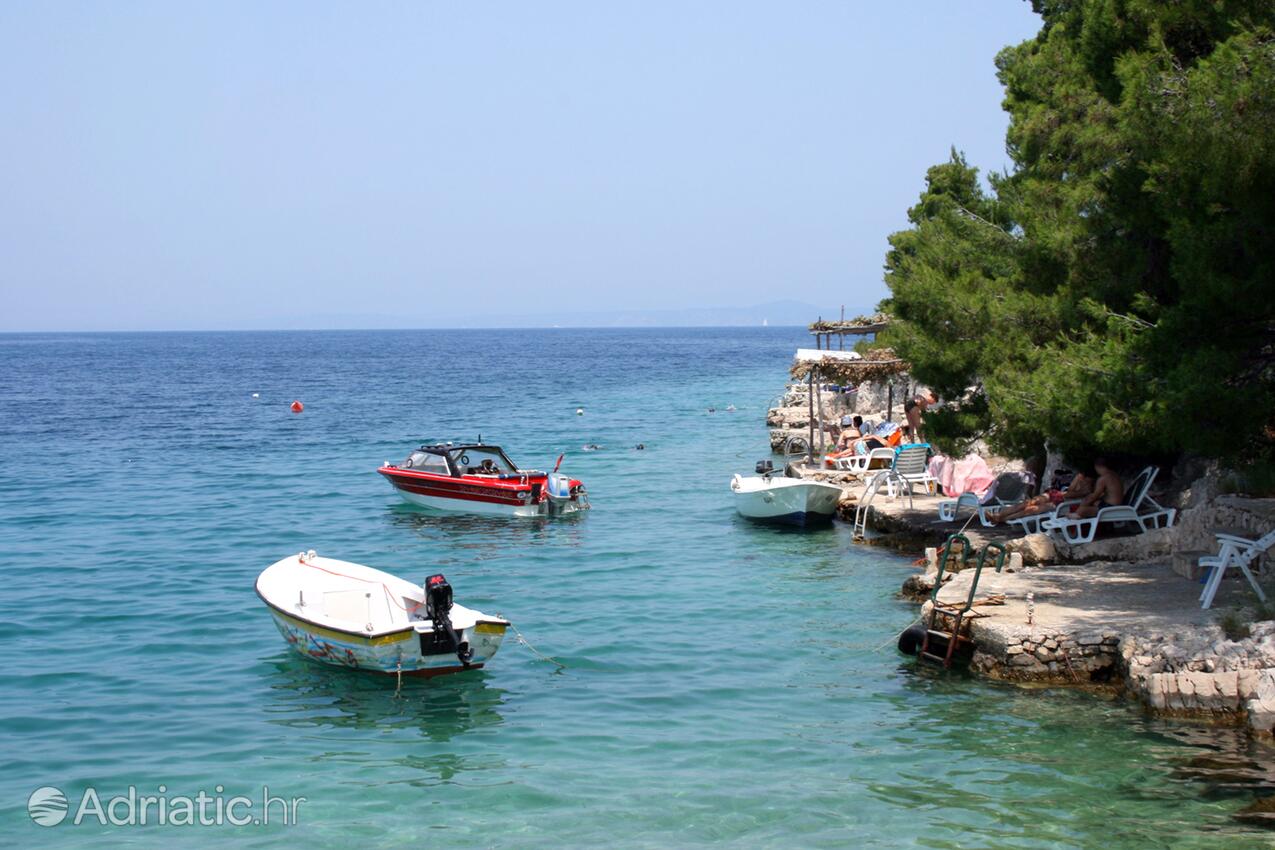 Jagodna (Brusje) na wyspie Hvar (Srednja Dalmacija)