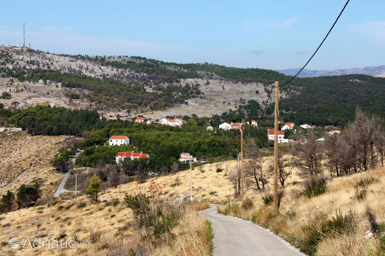 Bosanka pe riviera Dubrovnik (Južna Dalmacija)