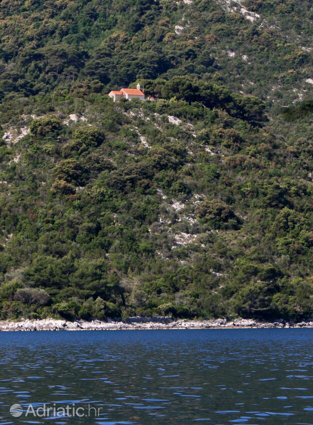 Okuklje острові Mljet (Južna Dalmacija)