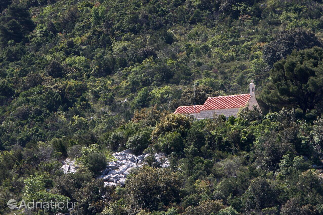 Okuklje острові Mljet (Južna Dalmacija)