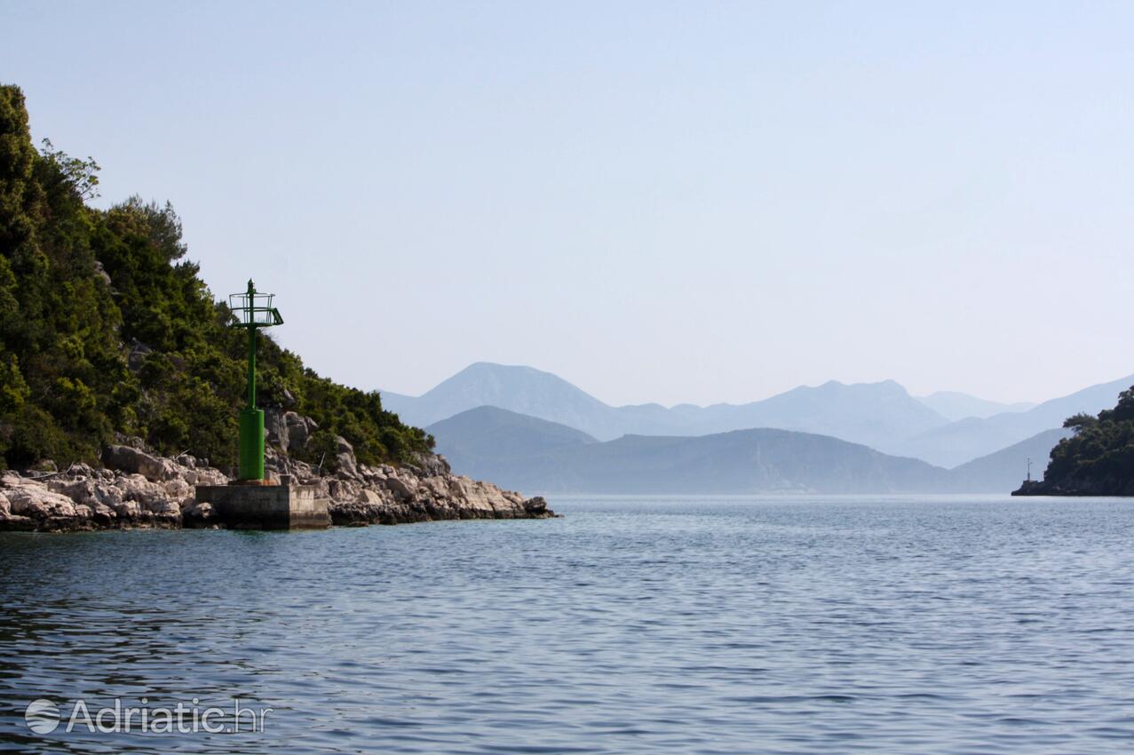 Okuklje острові Mljet (Južna Dalmacija)