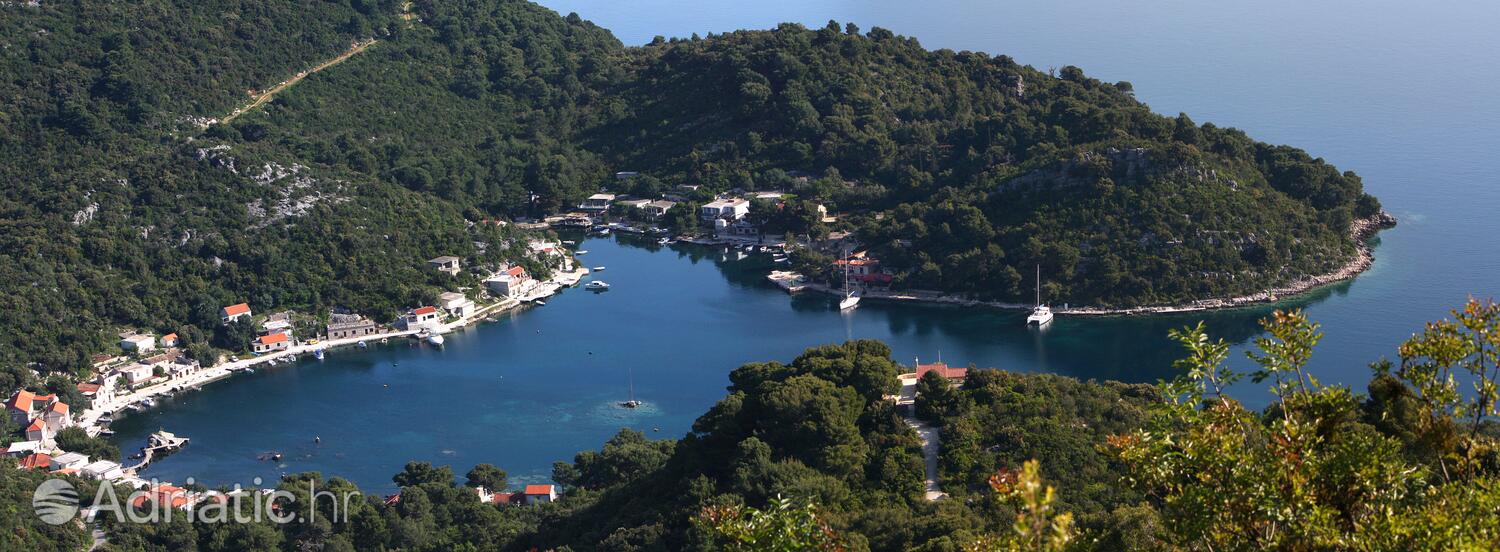 Okuklje острові Mljet (Južna Dalmacija)