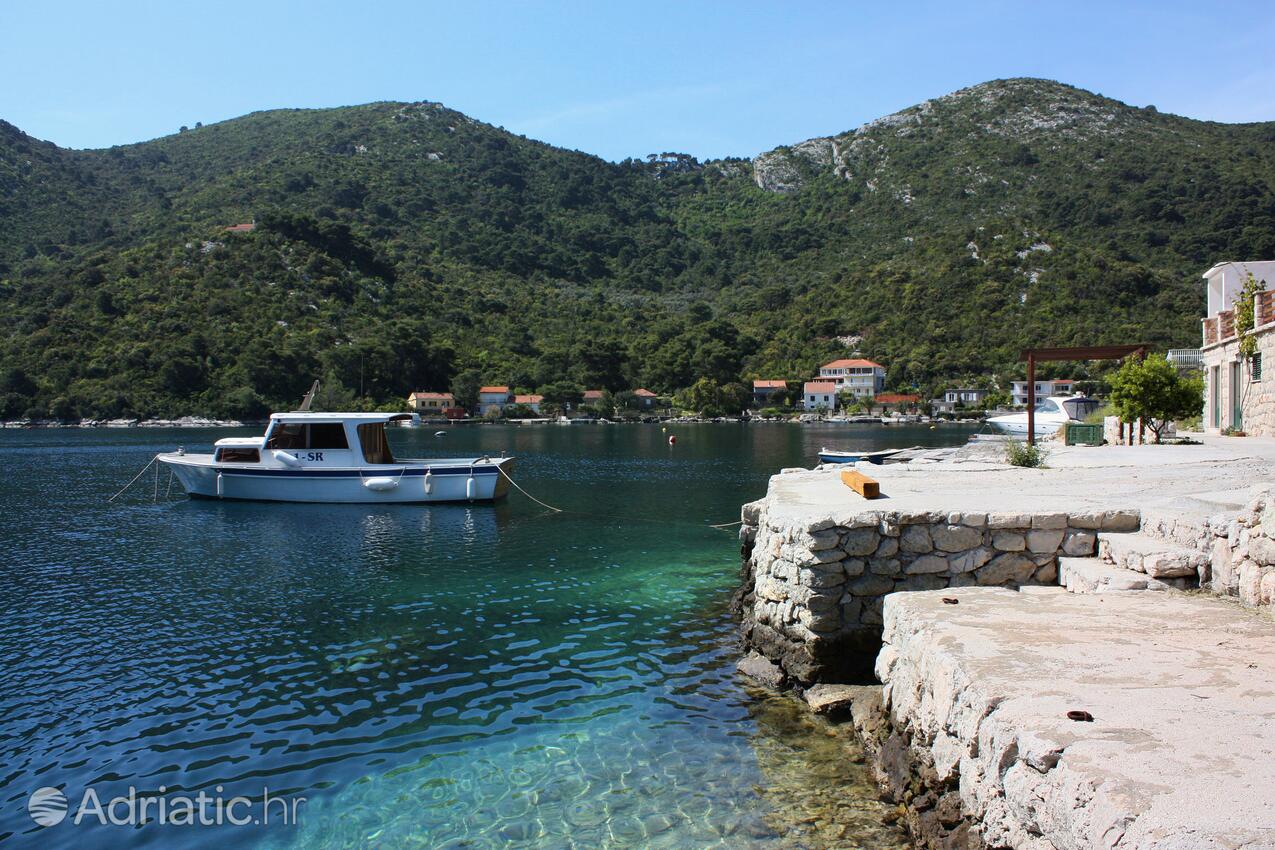 Okuklje острові Mljet (Južna Dalmacija)