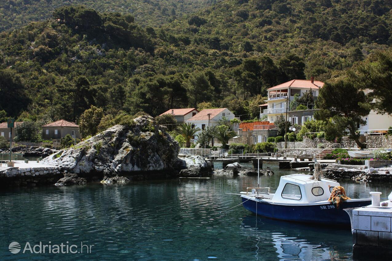 Okuklje острові Mljet (Južna Dalmacija)