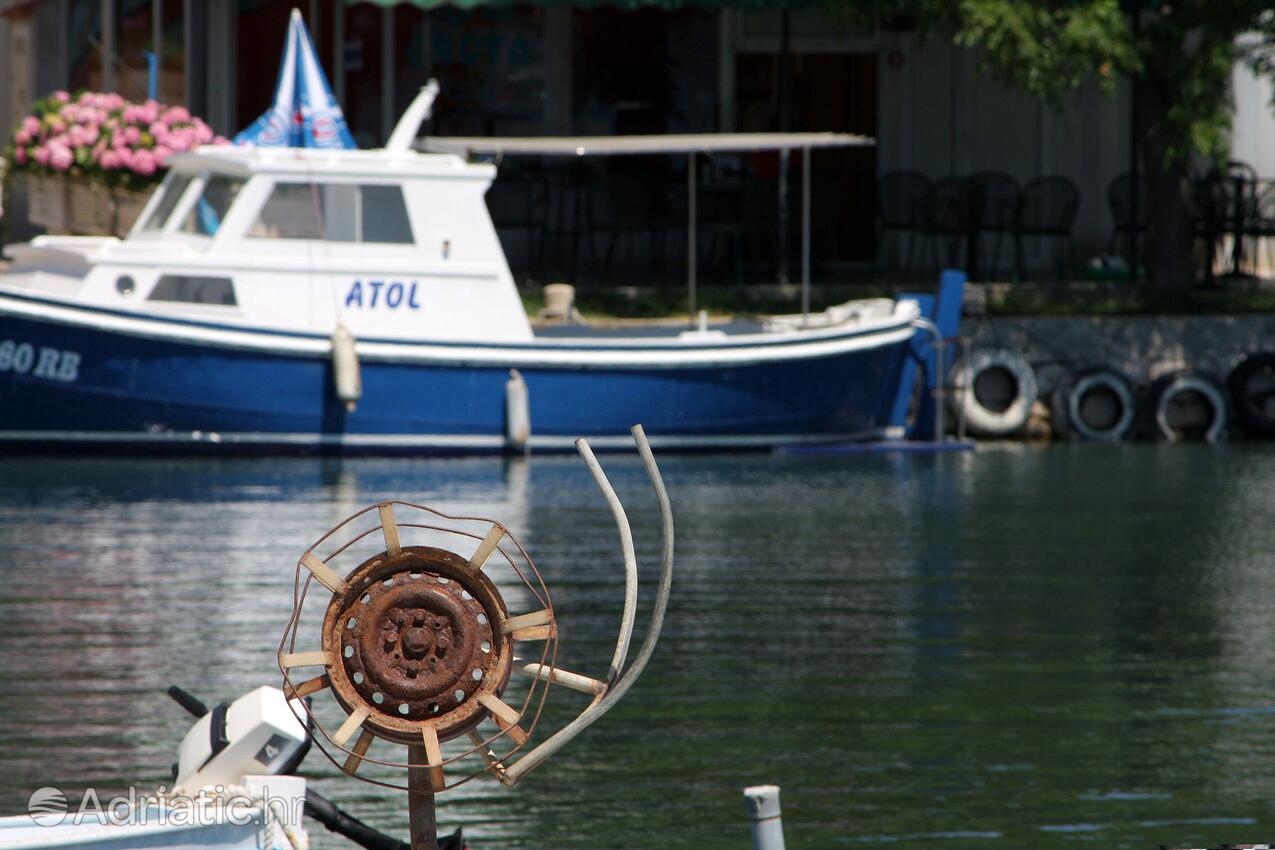 Kampor na ostrove Rab (Kvarner)