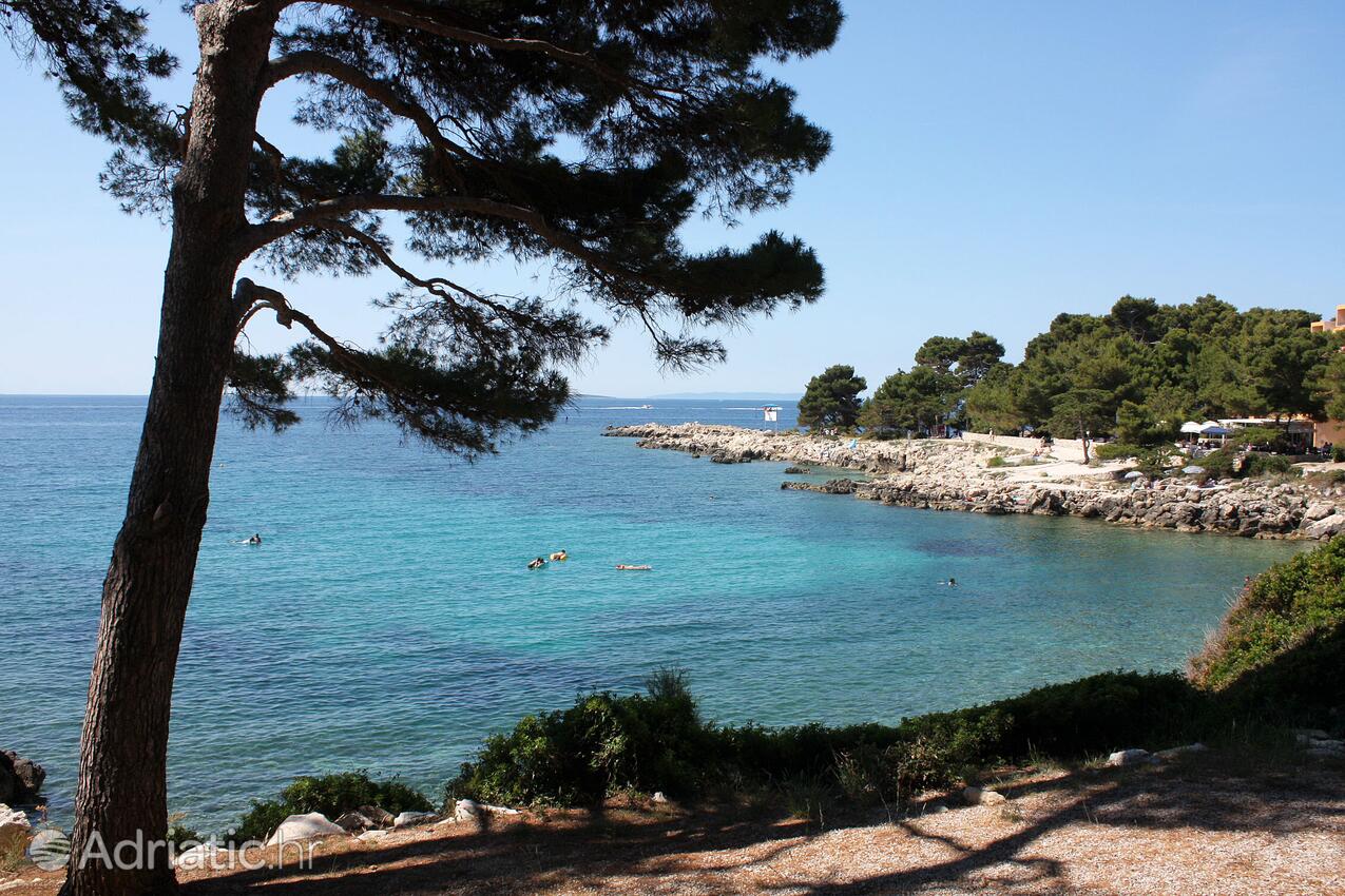 Suha Punta na wyspie Rab (Kvarner)