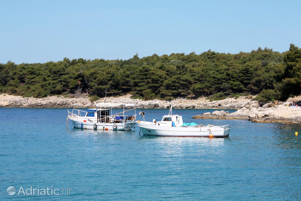 Suha Punta na wyspie Rab (Kvarner)