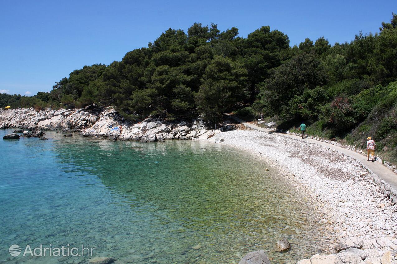 Nearby beaches - Apartments with a parking space Suha Punta, Rab