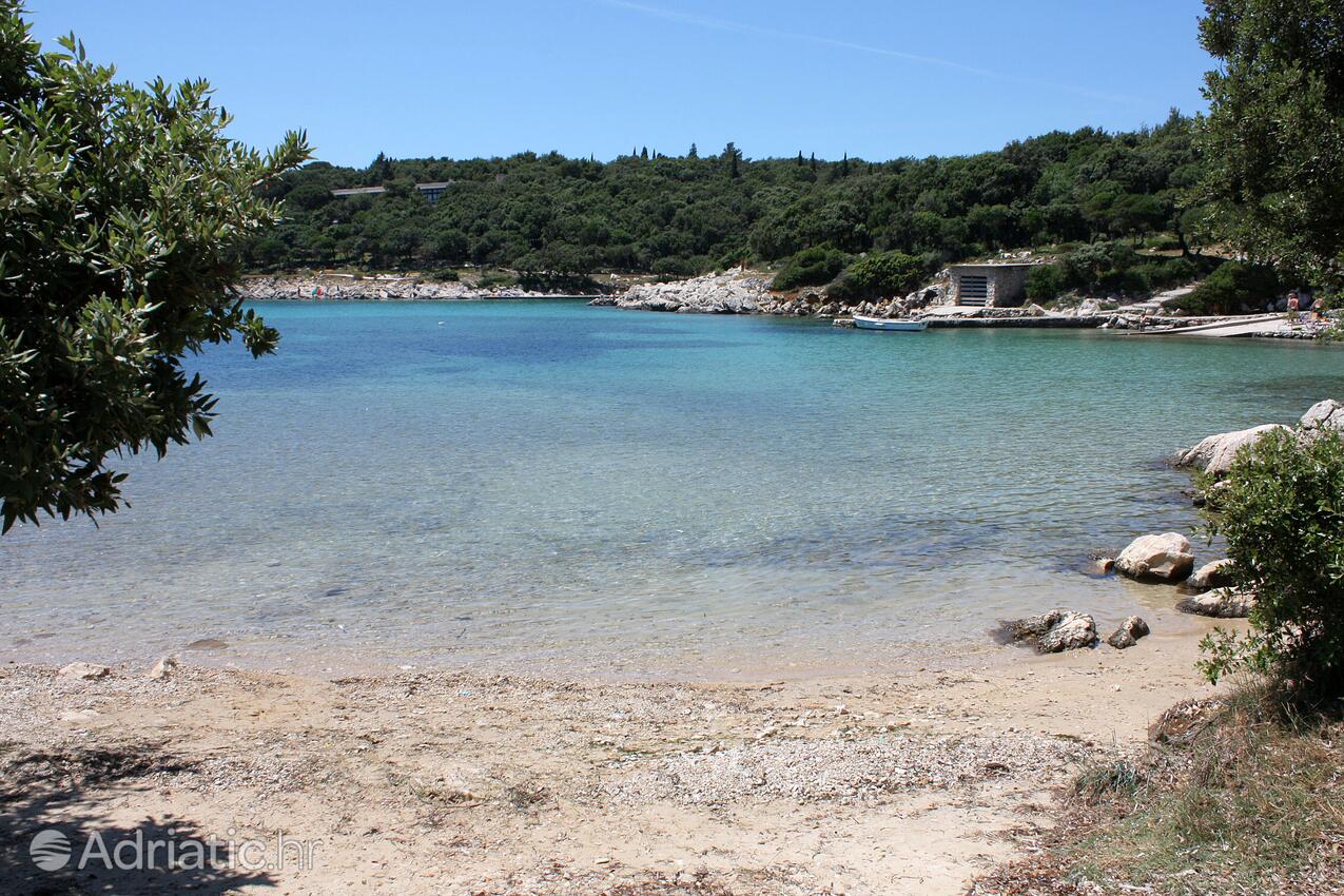 Nearby beaches - Apartments with a parking space Suha Punta, Rab
