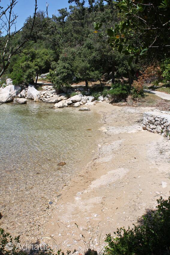 Nearby beaches - Apartments with a parking space Suha Punta, Rab