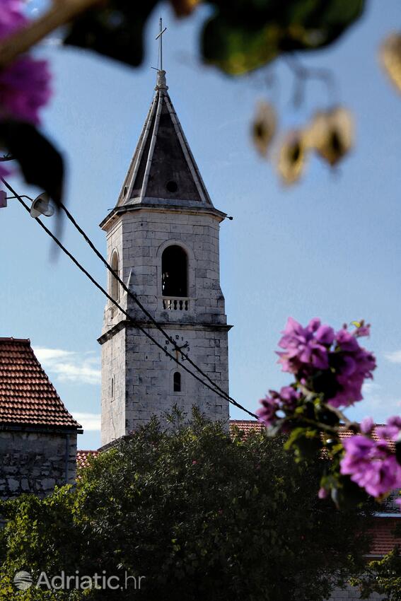 Gornje selo on the island Šolta (Srednja Dalmacija)