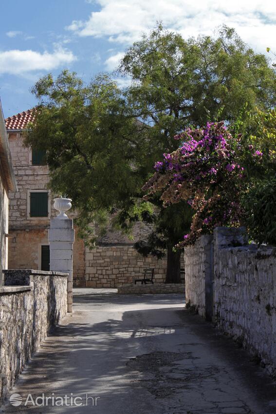 Gornje selo on the island Šolta (Srednja Dalmacija)