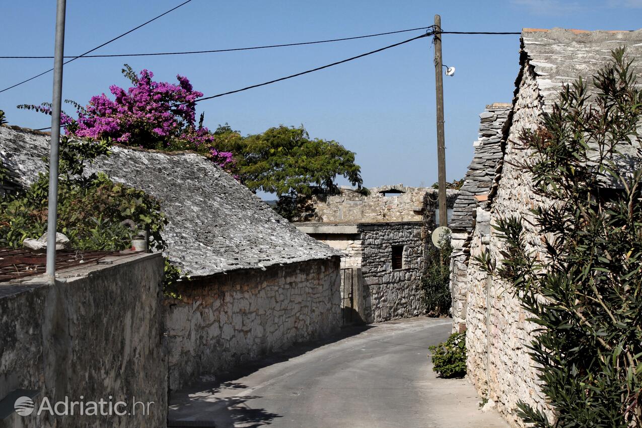 Gornje selo pe insula Šolta (Srednja Dalmacija)