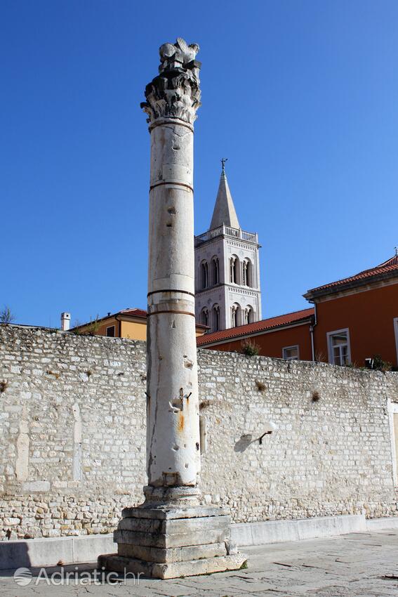 Zadar na riviére Zadar (Sjeverna Dalmacija)