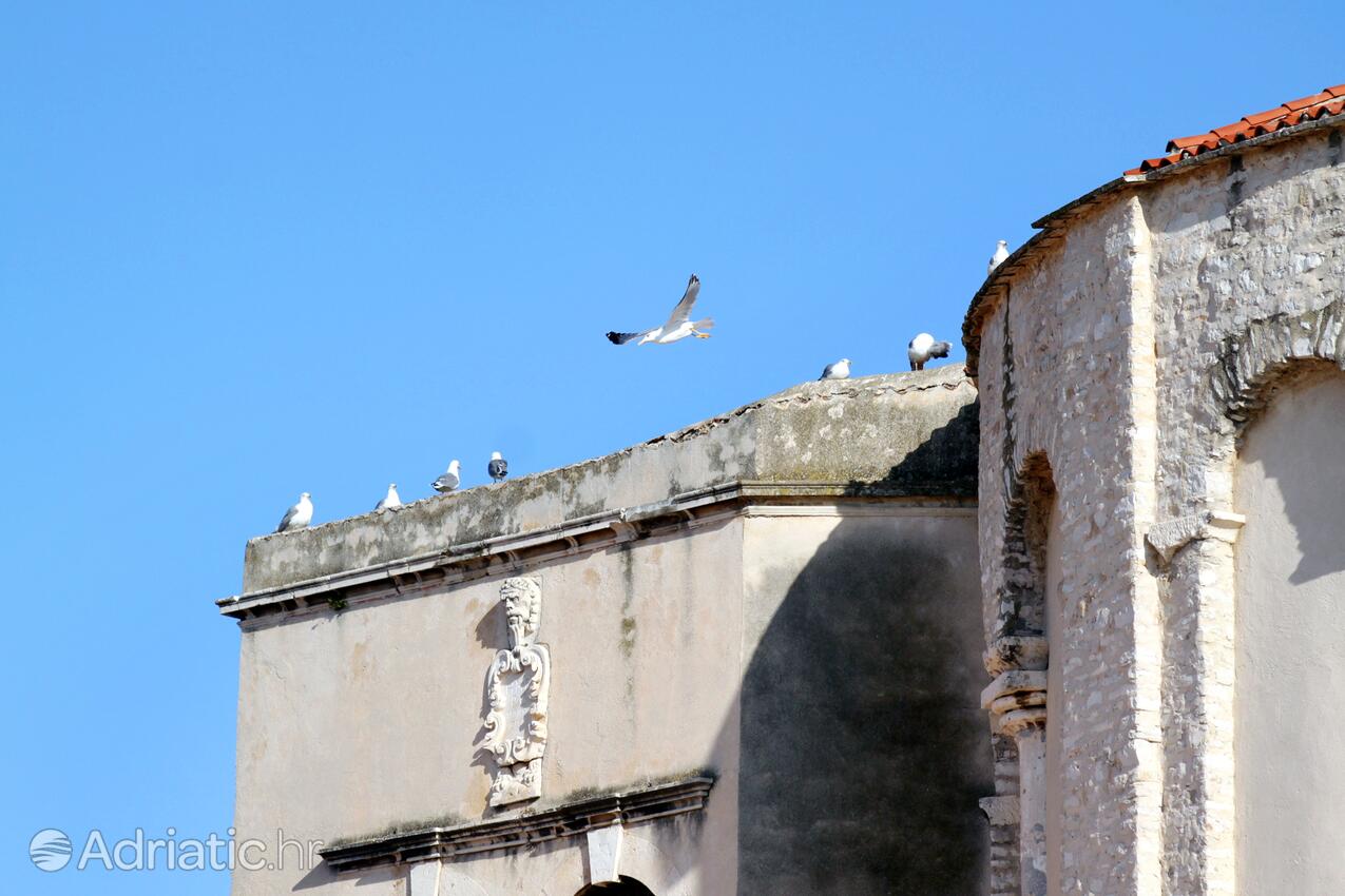 Zadar na riviére Zadar (Sjeverna Dalmacija)