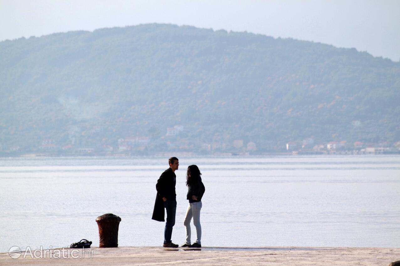 Zadar na riviére Zadar (Sjeverna Dalmacija)