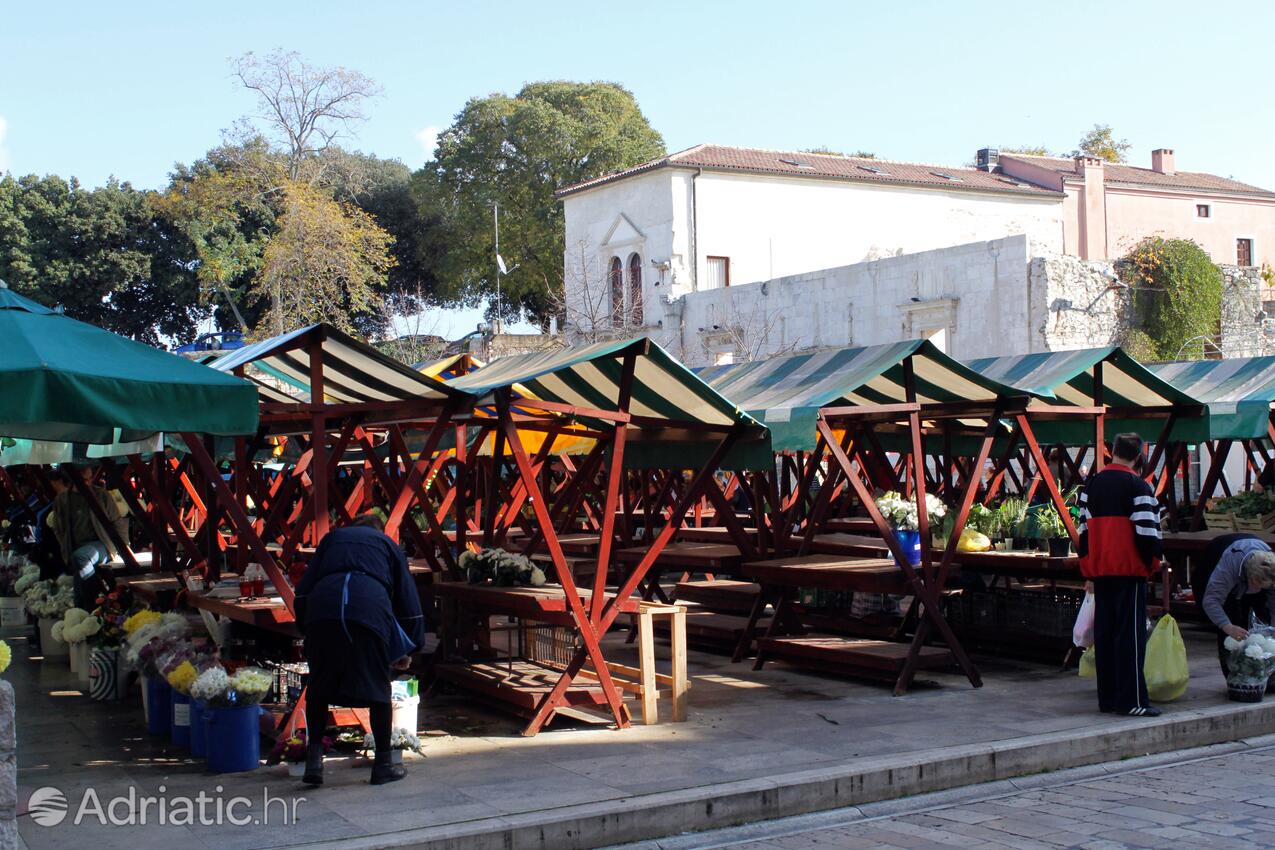 Zadar in Riviera Zadar (Sjeverna Dalmacija)