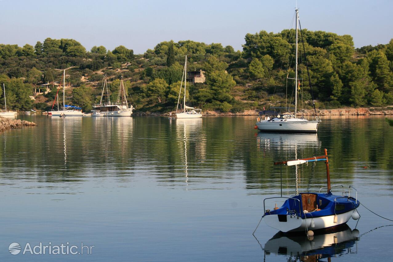 Piškera en la isla Šolta (Srednja Dalmacija)