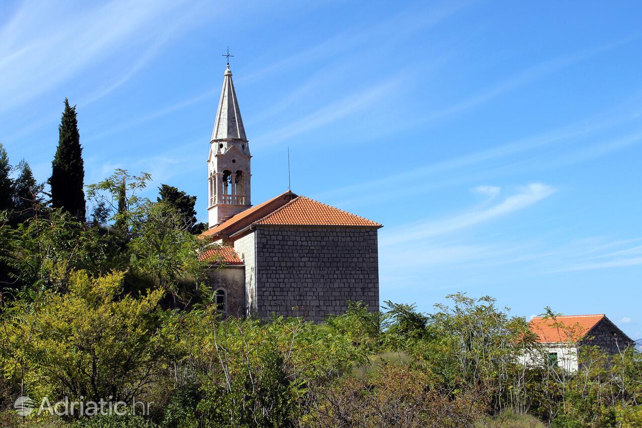 Pitve on the island Hvar (Srednja Dalmacija)