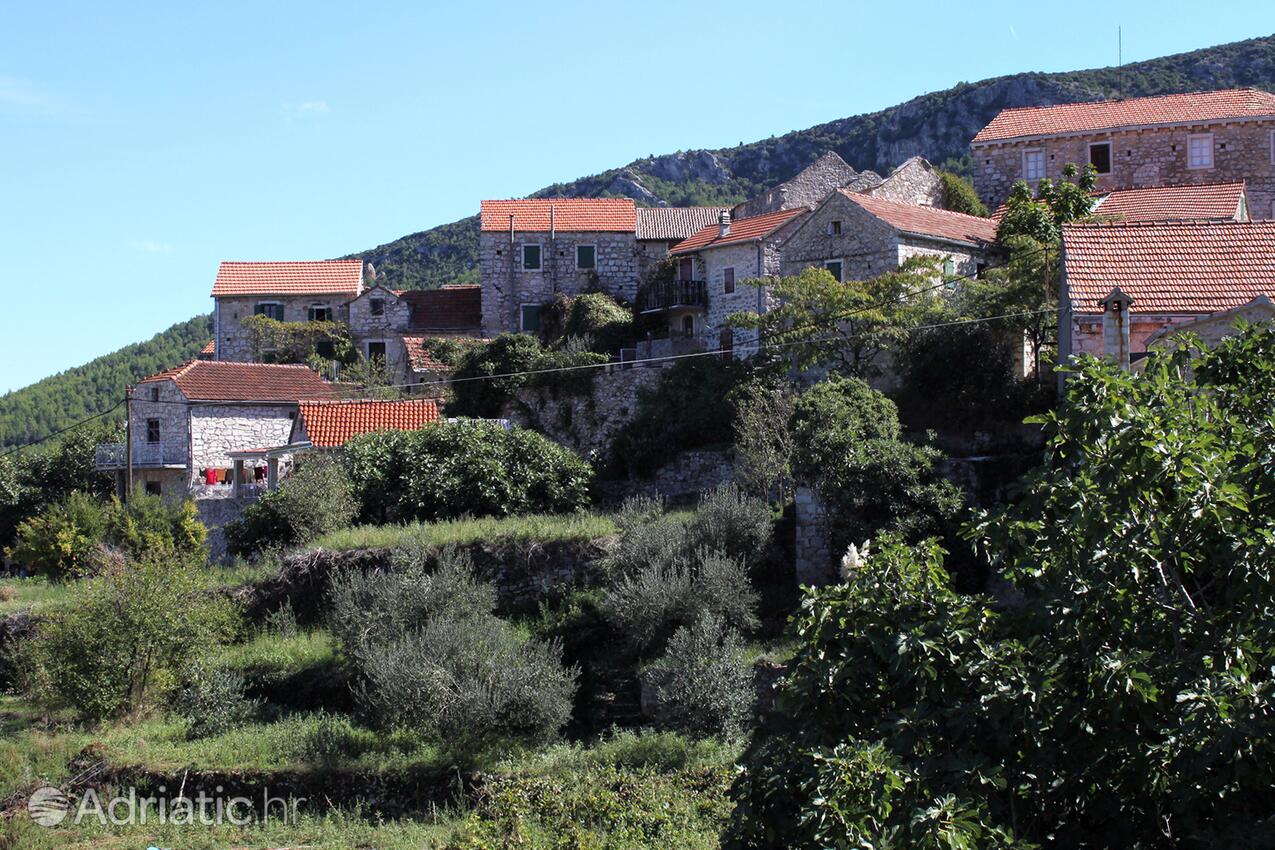 Pitve on the island Hvar (Srednja Dalmacija)