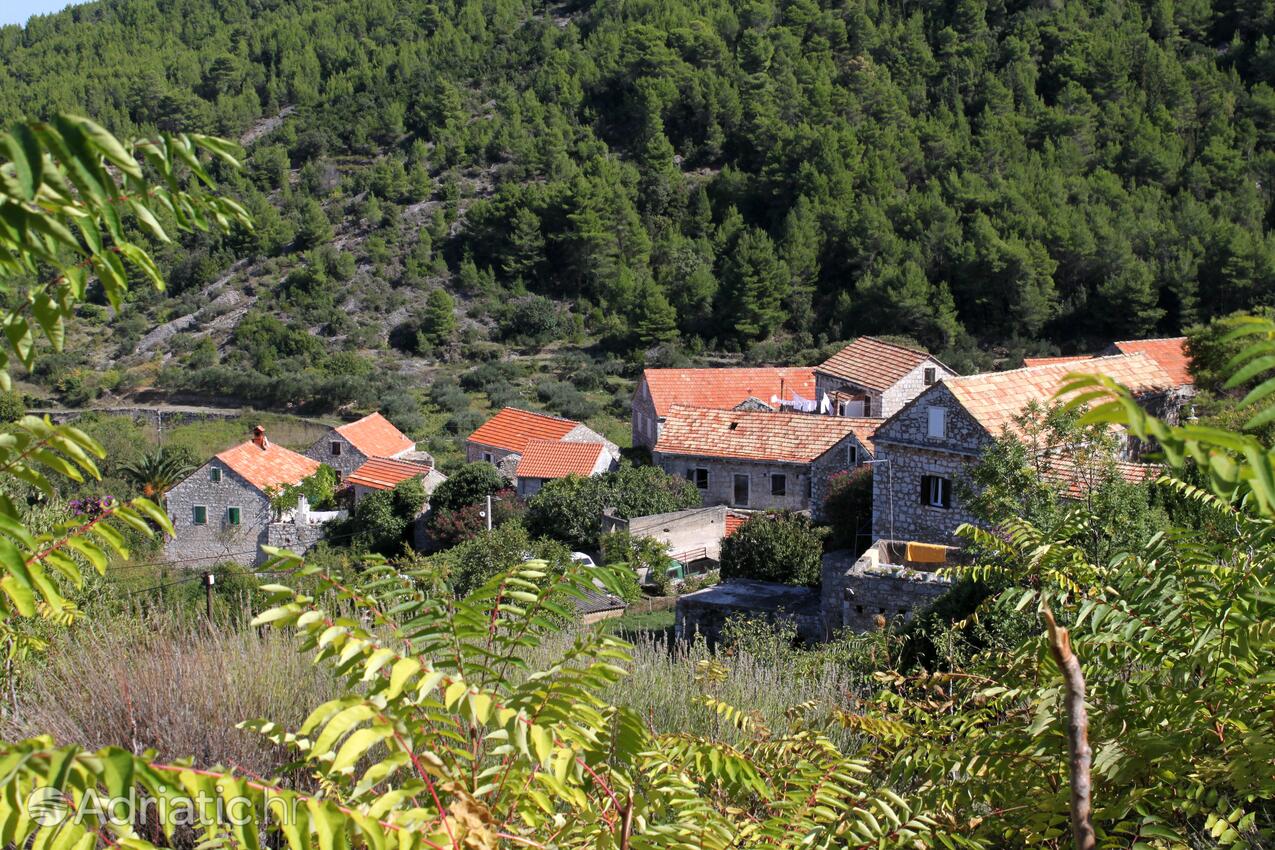 Pitve on the island Hvar (Srednja Dalmacija)