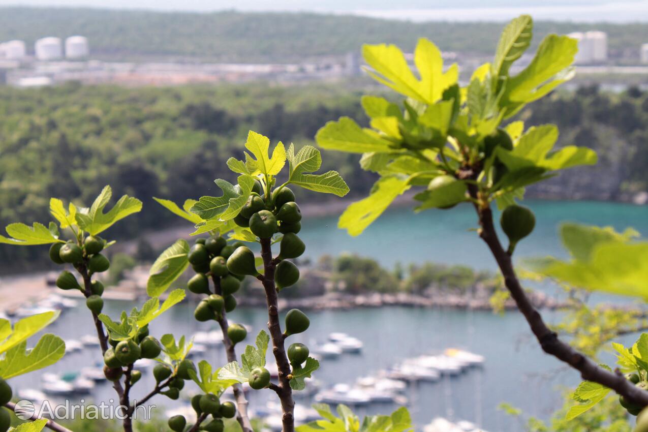 Omišalj auf der Insel  Krk (Kvarner)