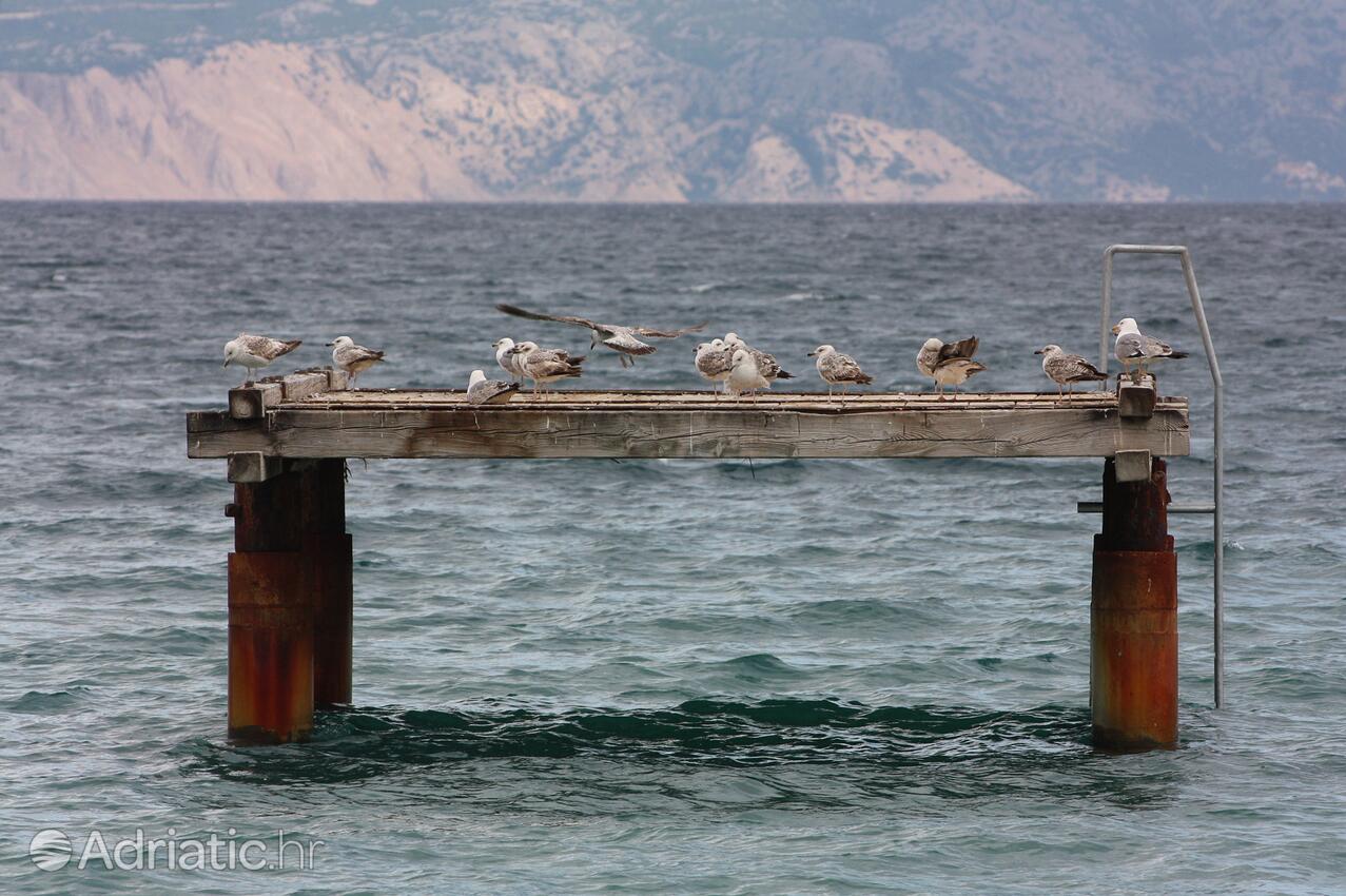 Baška Krk szigeten (Kvarner)