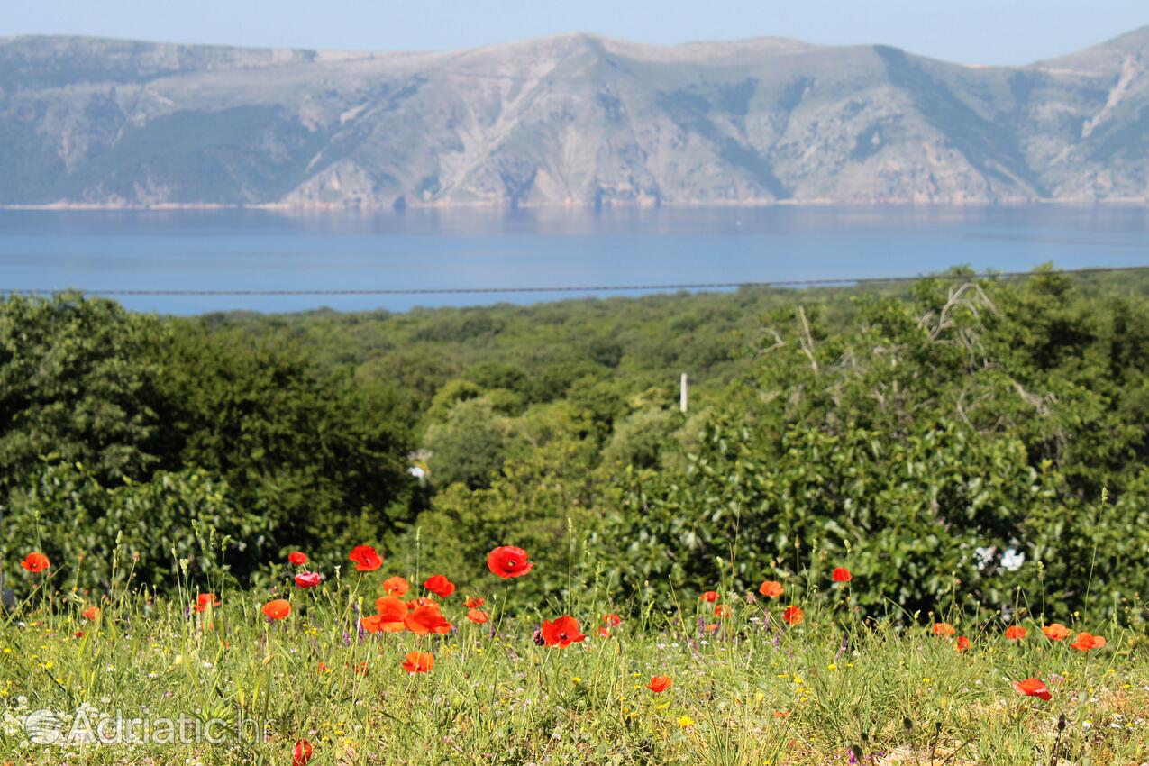 Linardići na wyspie Krk (Kvarner)