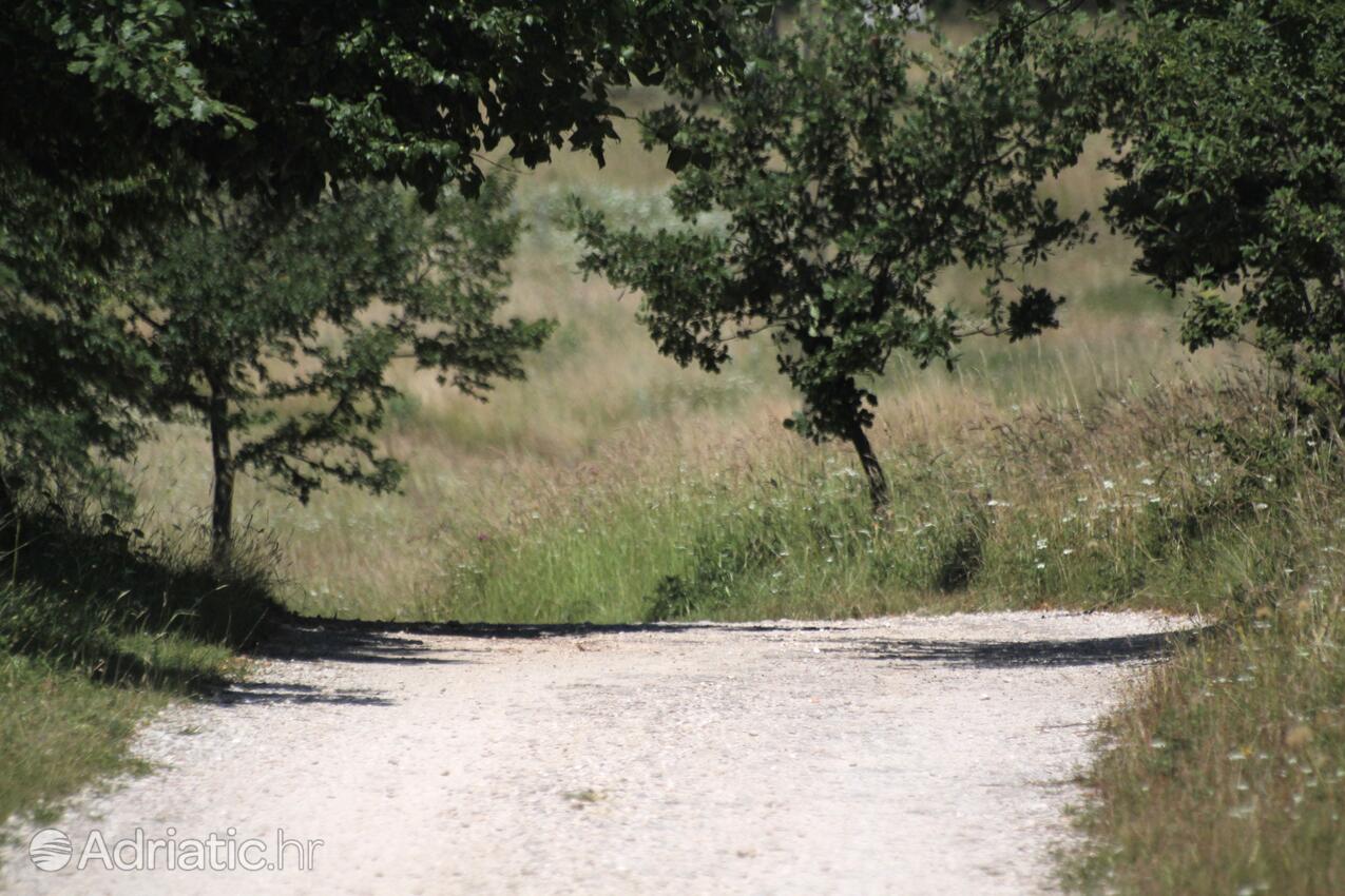 Štrmac Labin riviérán (Istra)