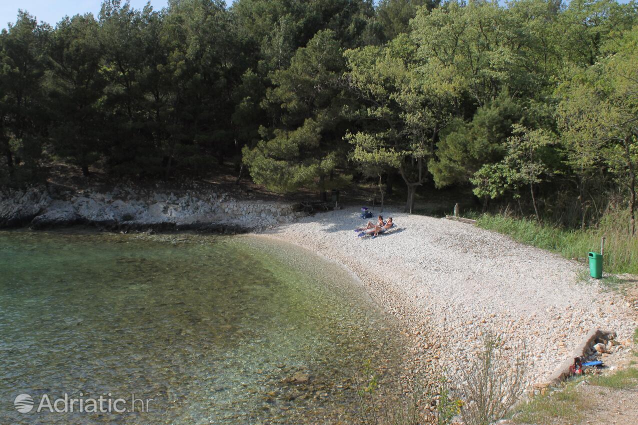 Plaže v bližini - Apartmaji s parkingom Pinezići, Krk